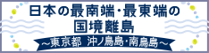 ハーフサイズ