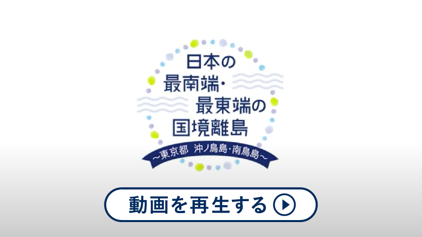 動画を再生する
