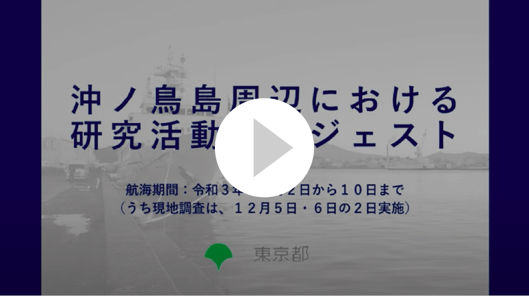 研究活動の動画を見る