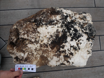 国立大学法人東京海洋大学