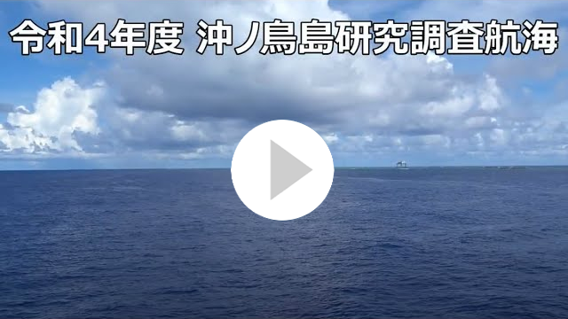 動画を見る