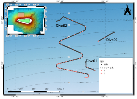 Habitat map of the Nematocarcinus sp.