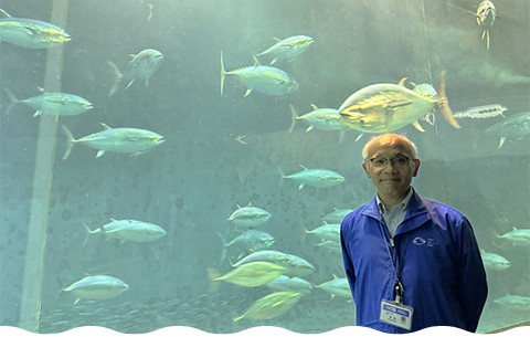 Director Nishikiori in front of a tank displaying a school of tuna