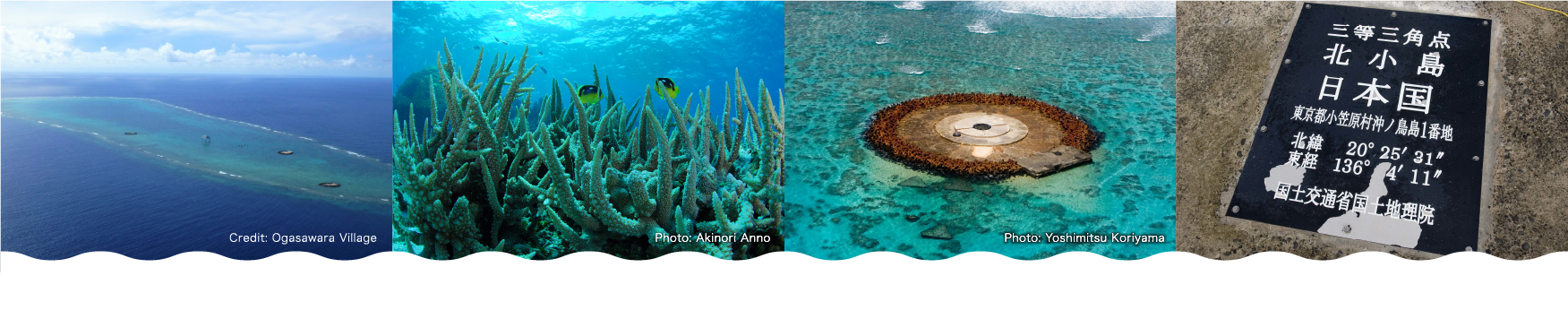 Profile of the Okinotorishima Island