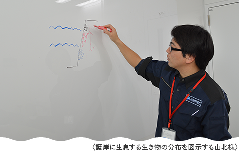 護岸に生息する生き物の分布を図示する山北様