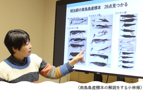 南鳥島産標本の解説をする小林様