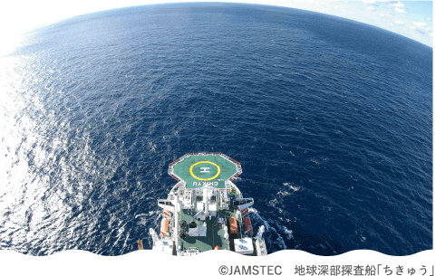 JAMSTEC 海洋研究開発機構 地球環境部門　海洋生物環境影響研究センター 海洋環境影響評価研究グループ グループリーダー代理 川口　慎介　様