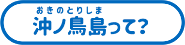 沖ノ鳥島って？