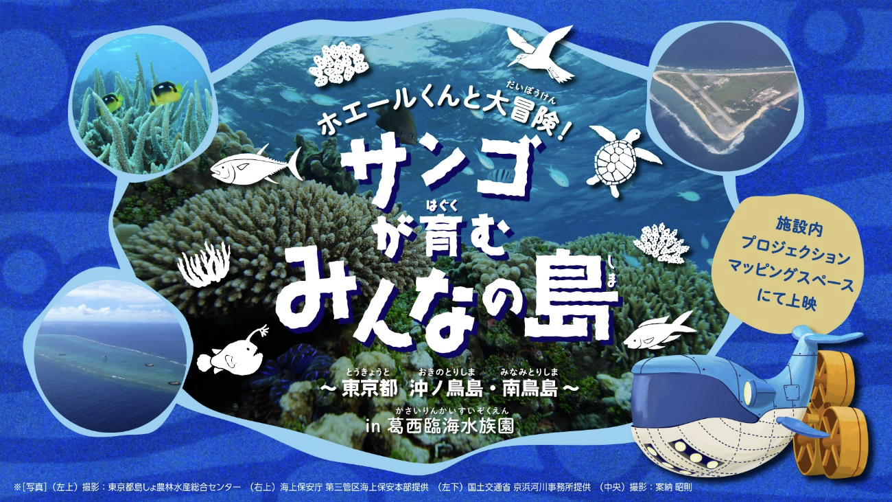 ホエールくんと大冒険！サンゴが育むみんなの島～東京都 沖ノ鳥島・南鳥島～